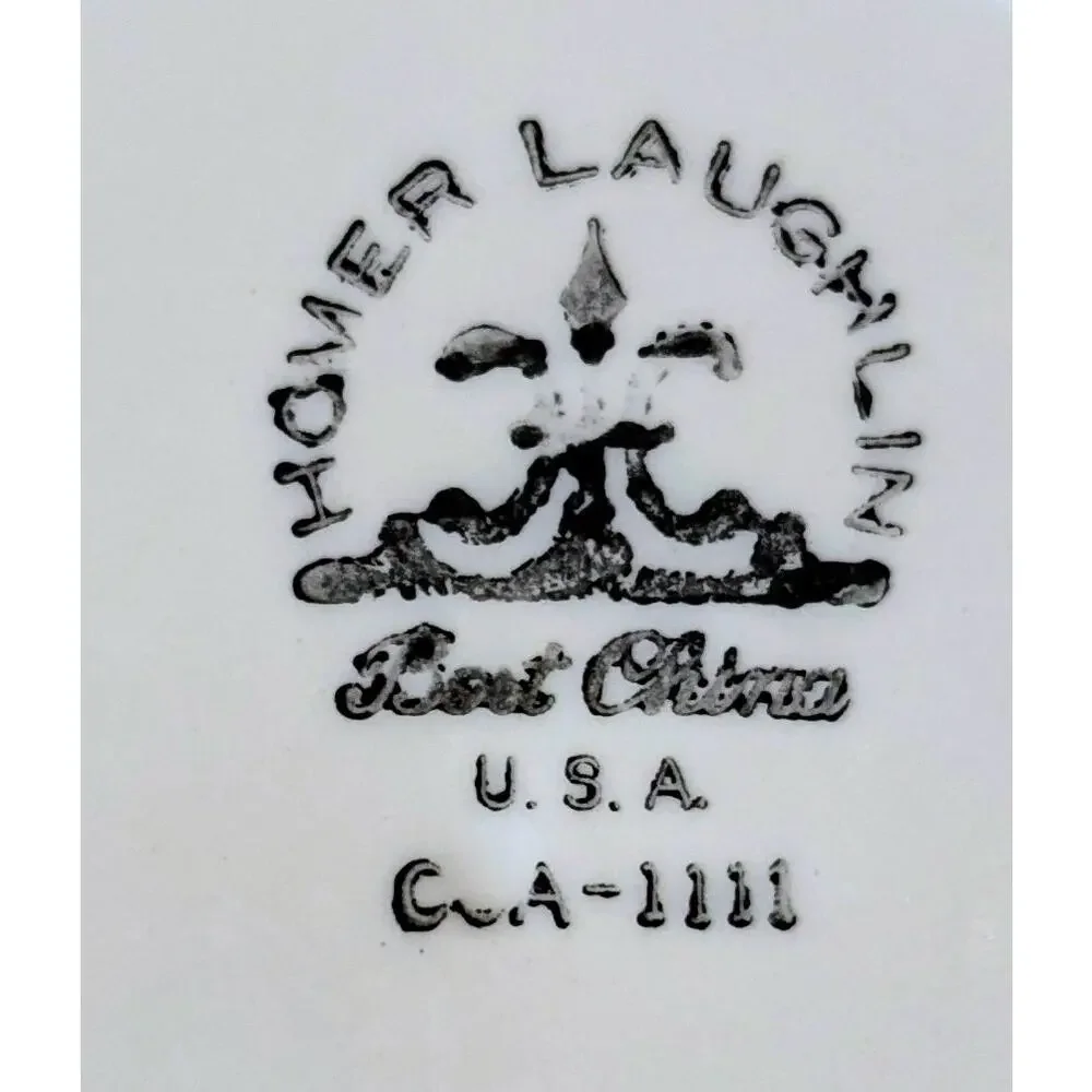 Vintage Homer Laughlin Best China 6